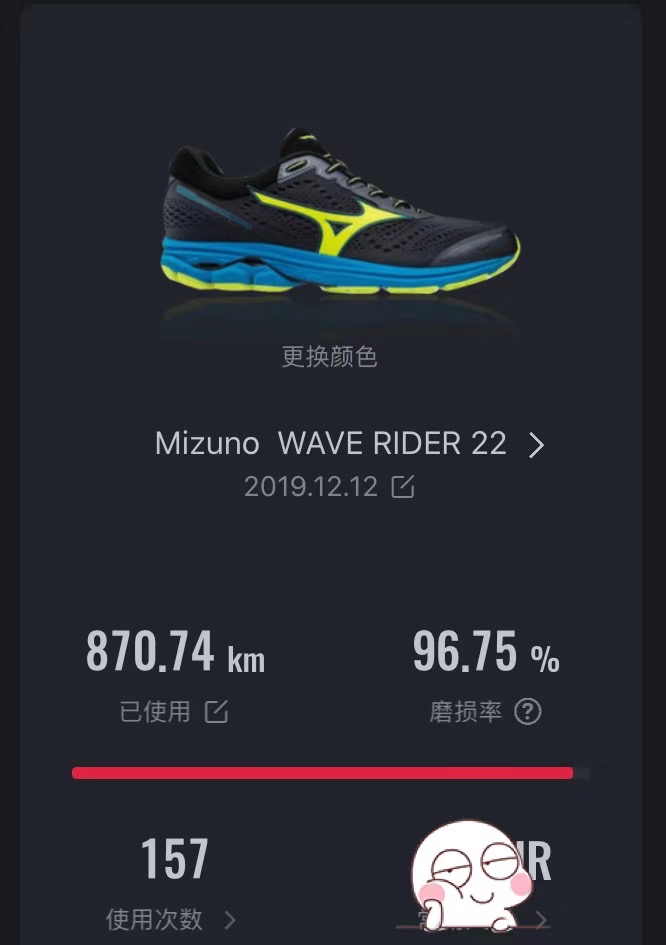 Mizuno WAVE Rider 22