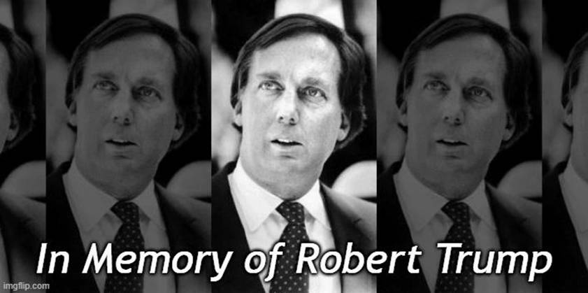 (圣诞老人冲浪)|把我们的眼睛放在目标上,在谷歌地球上实现速度