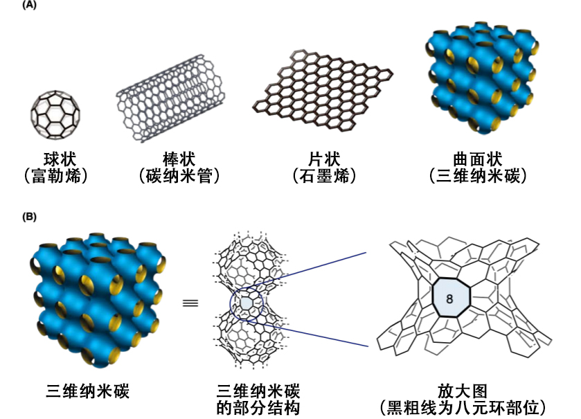 日研发三维纳米碳分子合成法 1 图1:纳米碳
(A)纳米碳是仅由碳原子构成的物质。根据结构进行分类 。(B)详细显示了三维纳米碳的部分结构。放大部分结构可以发现,含有八元环部位。