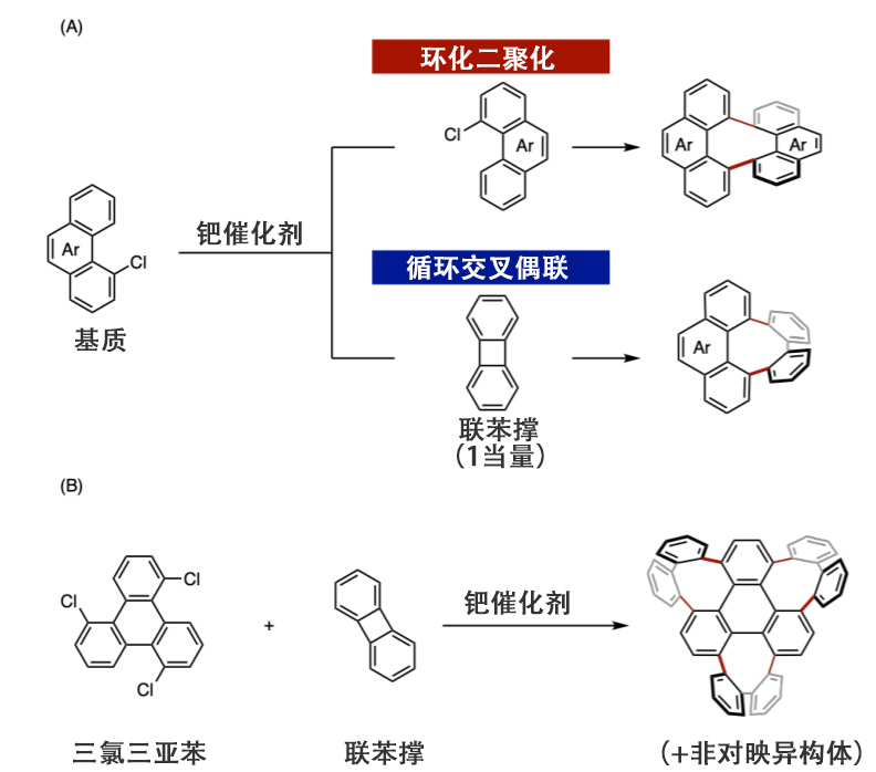 日研发三维纳米碳分子合成法 3 图3:此次研究实现的合成反应
(A)利用钯催化剂的环化二聚反应和环化交叉偶联反应(B)三个连续的八元环构筑反应