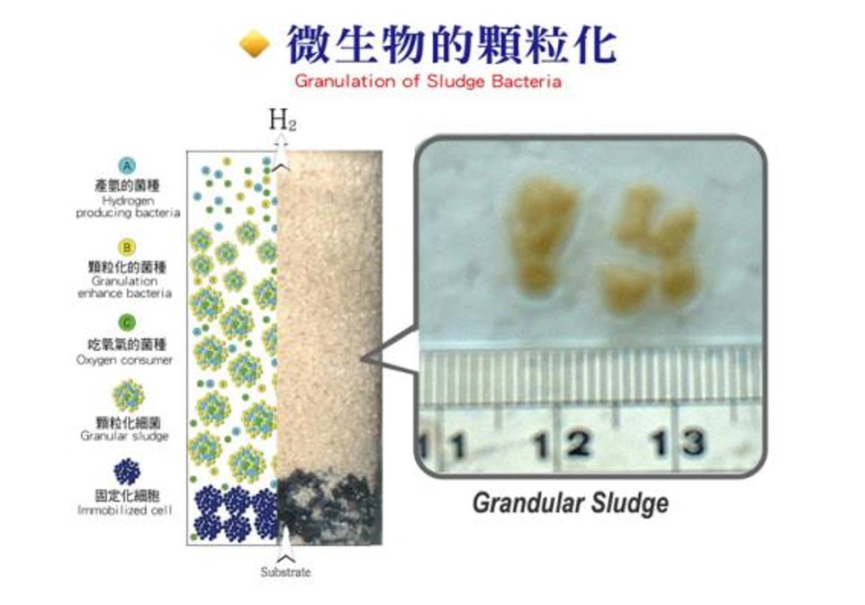 智能绿色能源:逢甲大学开发的高效生物沼气生产技术 1 智能绿色能源:逢甲大学开发的高效生物氢烷气生产技术