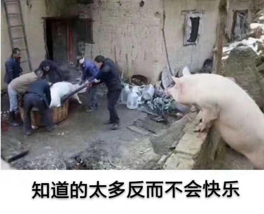 知道的太多不会快乐