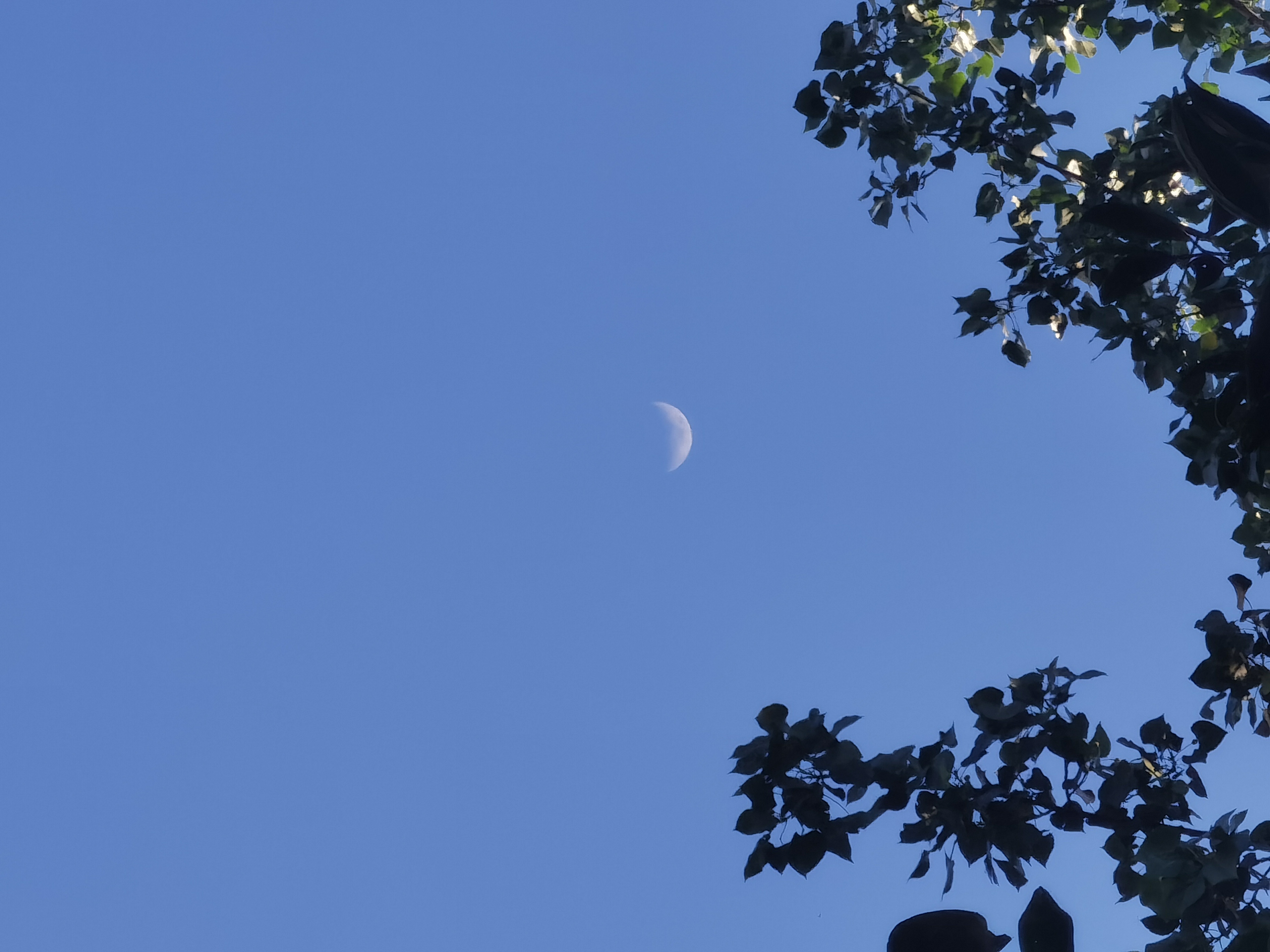 七夕的月