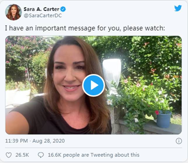 潮流正在转变…|Sierra(NZ)