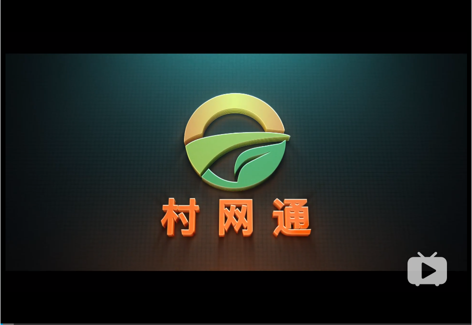 村网通宣传片