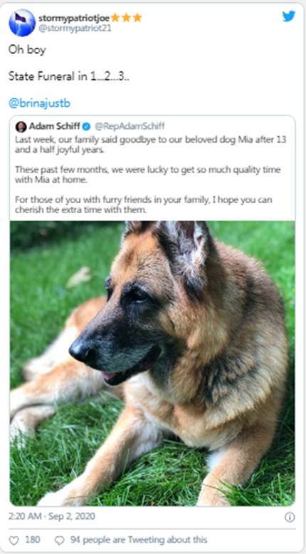 联盟设计了南希•佩洛西|Sierra(NZ)