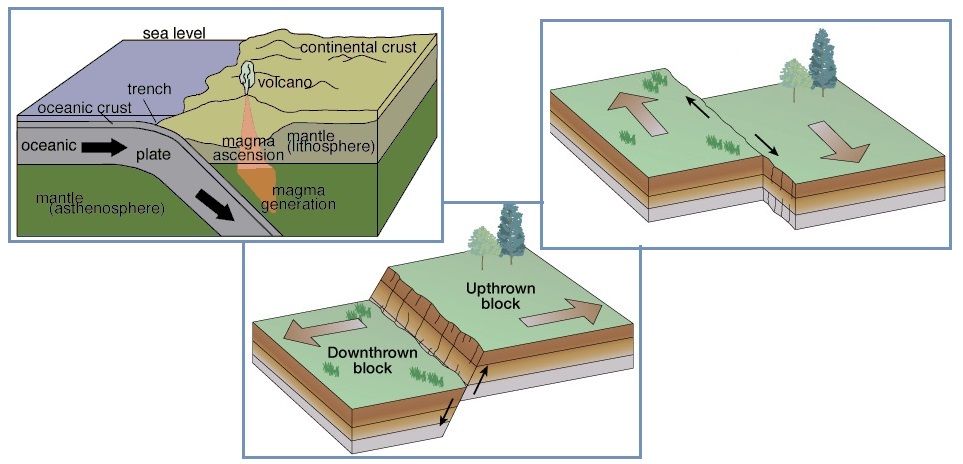 齐塔人之声第727期|拜登接管,板块边界危机,戒严令等