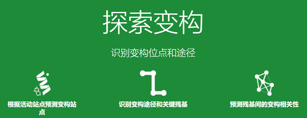 新计算工具可根据结构预测蛋白质中的关键功能位点 1 新计算工具可根据结构预测蛋白质中的关键功能位点