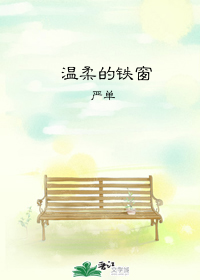 温柔的铁窗[娱乐圈]