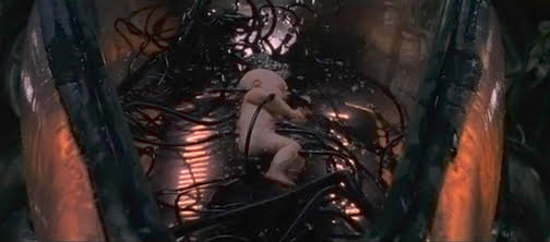 视频转录|查理•沃德介绍金字塔代码“TLS”9-7-20(部分由 Kat 转录)