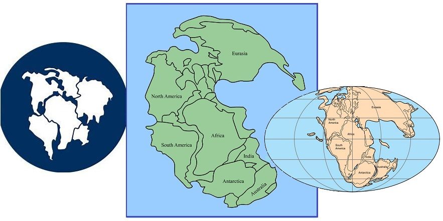 齐塔人通讯之声第728期|2020年的绝望,磁场迁移,中东协议等