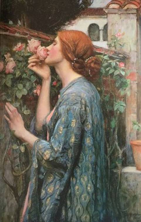 柯博拉推荐|与美联系