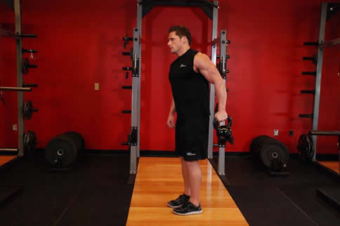 最好的肱桡肌练习行动大全-追梦健身网