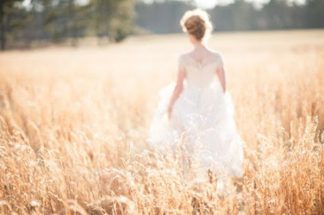 thevoice5D|人类即将获得一个史诗般的收获