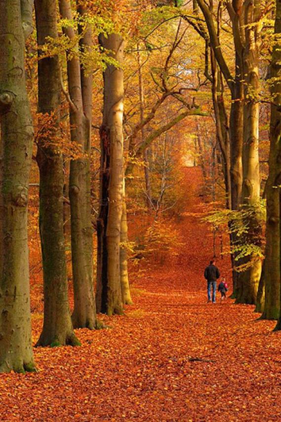 thevoice5D|人类即将获得一个史诗般的收获