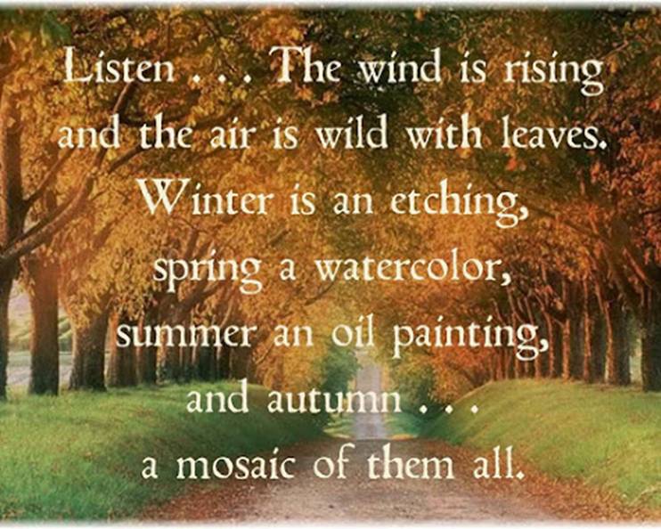 thevoice5D|人类即将获得一个史诗般的收获