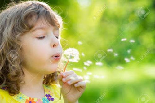 thevoice5D|人类即将获得一个史诗般的收获