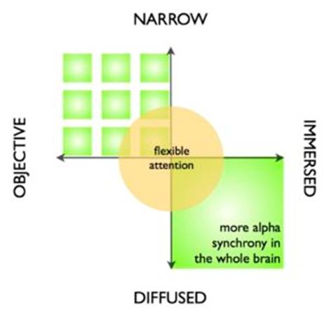神经科学了解佛教多年来所知道的:正念