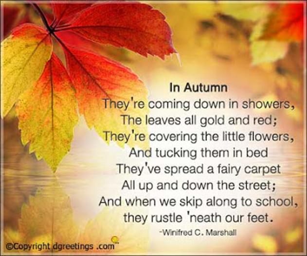 thevoice5d |9-21-20全球冥想*行星更新*未来关键几周