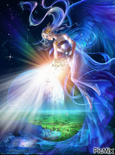 视频转录|来自查理•沃德和杰森•舒尔卡的3个视频更新:欢乐就在前面