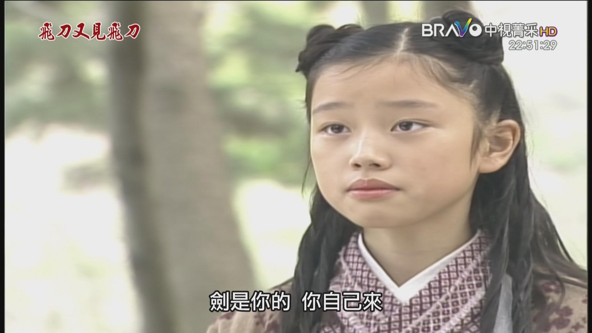 22][115 百度网盘][2003][武侠剧][中视菁彩][飞刀又见飞刀][hdtv/275