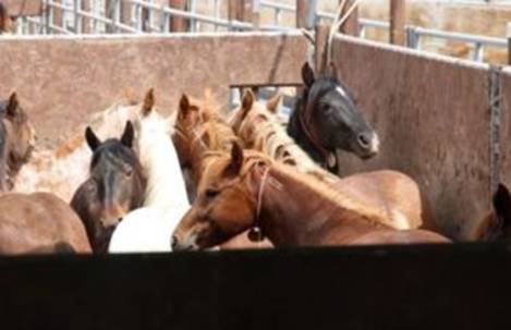 X22视频2286解读|掩盖和文件线索每次都会找到你