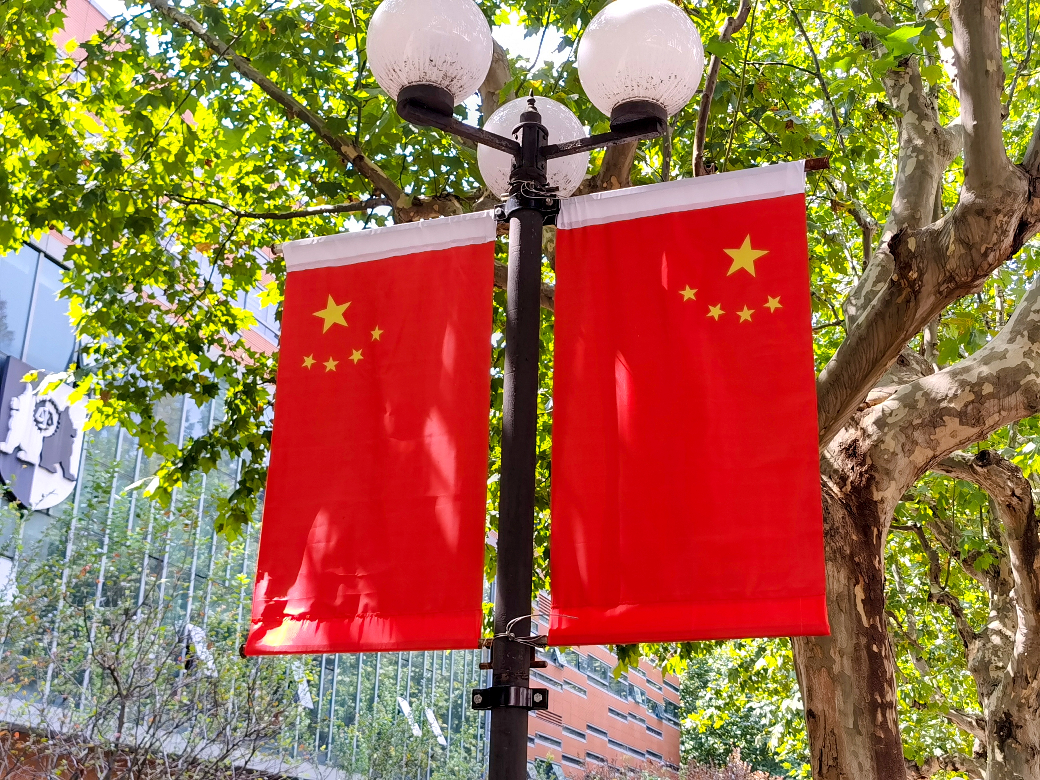 校园内的国旗