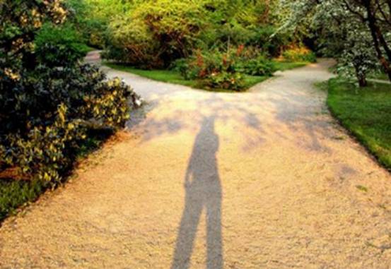 瑞典银河真理报|第262期 十字路口