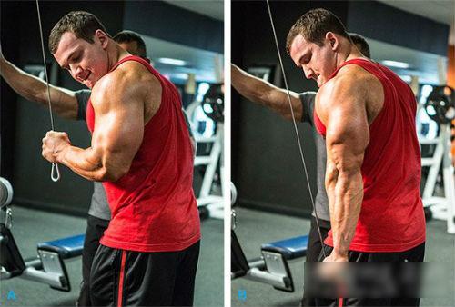 男子怎样磨炼手臂肌肉 手臂肌肉磨炼要领图解-追梦健身网