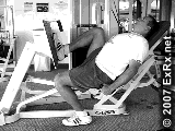 股四头肌锻炼方法：坐姿蹬腿-追梦健身网