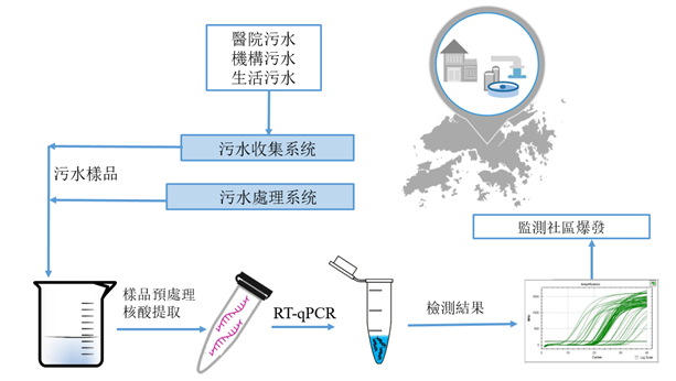 香港大学领导团队研发检测污水中COVID-19病毒作为公共卫生防控手段 2 香港大学领导团队研发检测污水中COVID-19病毒作为公共卫生防控手段