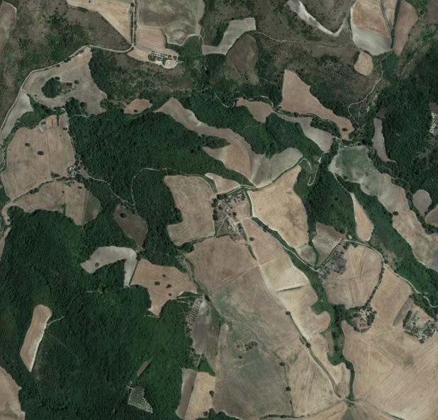 xekleidoma|2020-10-10:章鱼头。