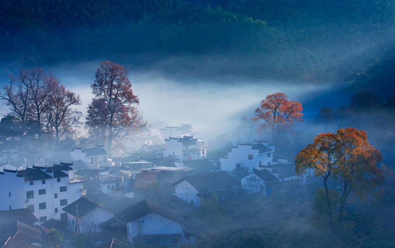 婺源+黄山 (8)