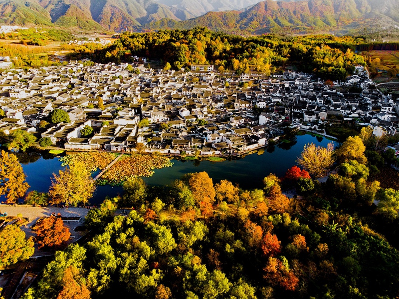 婺源+黄山 (1)