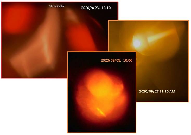 齐塔人之声通讯第733期|2020/10/18 邮寄投票诈骗,辩论揭示,特朗普总统阳性等