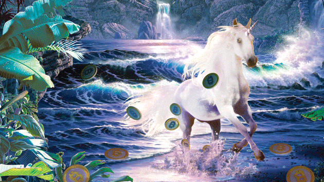 视频转录|2个视频:查理•沃德带来了喜讯!(解码 Kat)