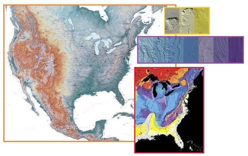 齐塔人之声通讯第734期|2020/10/25 新马德里热,彭斯的苍蝇,保护总统等