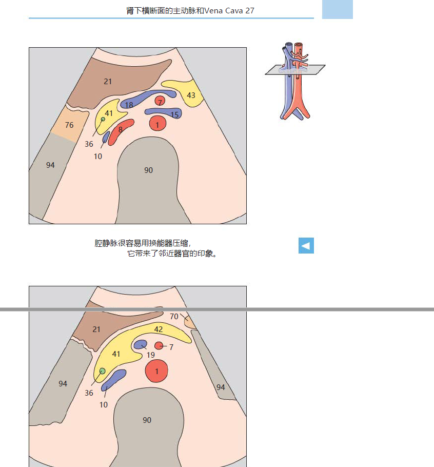 图片[2]-超声解剖彩色图谱（中文翻版）超清彩色PDF电子书下载