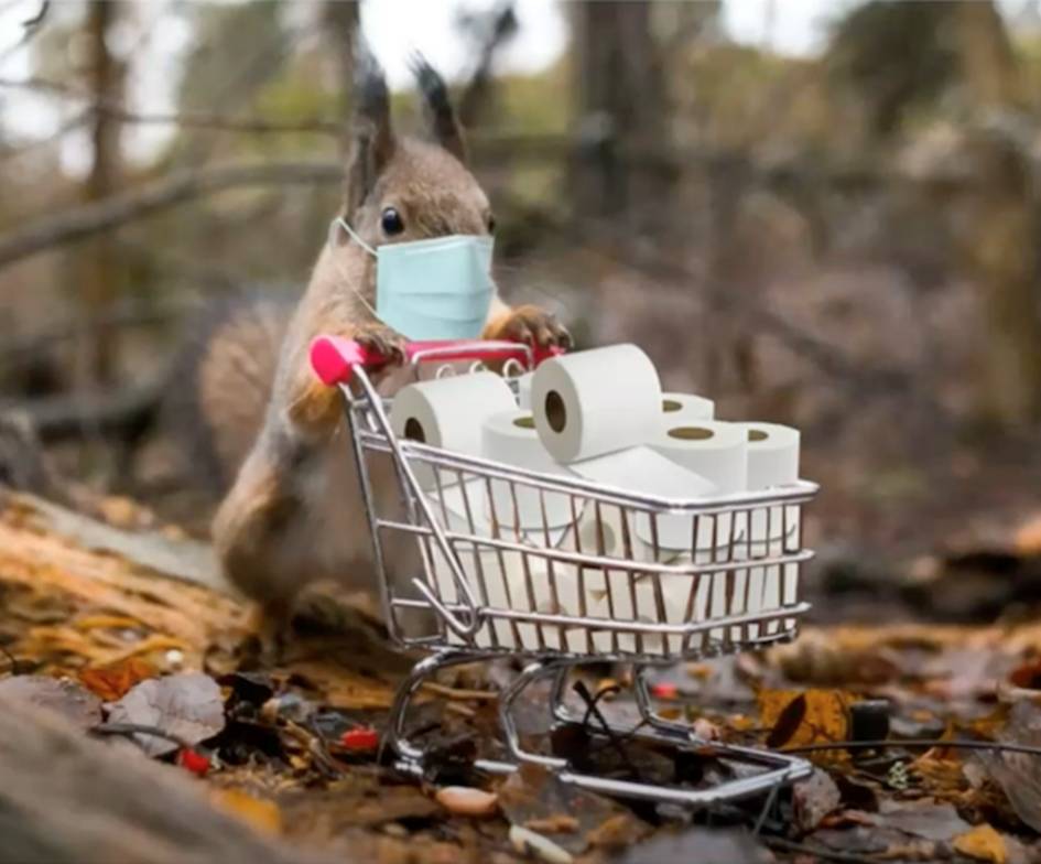 查理•沃德:实际上在RV和 QFS 上(由 Kat 解码)