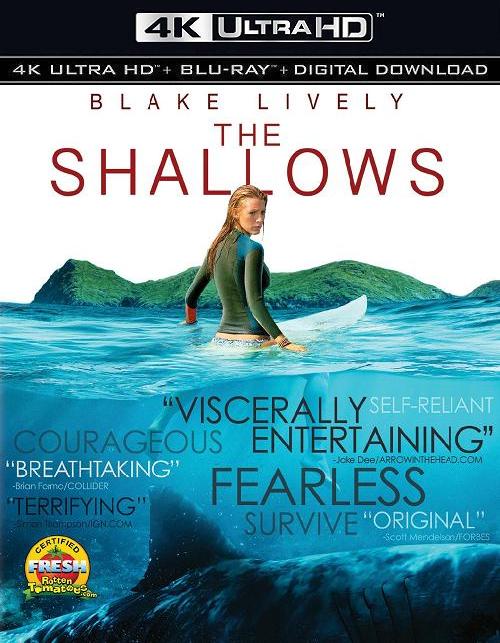 1080P高清电影[鲨滩]The.Shallows.2016.1080p.BluRay.x264.DTS-CNXP[中英字幕/6.7G]