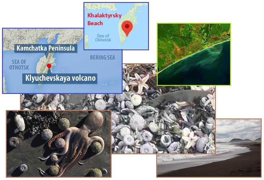 齐塔人之声通讯|第735期 十月惊喜,一级防范禁闭,水中毒等