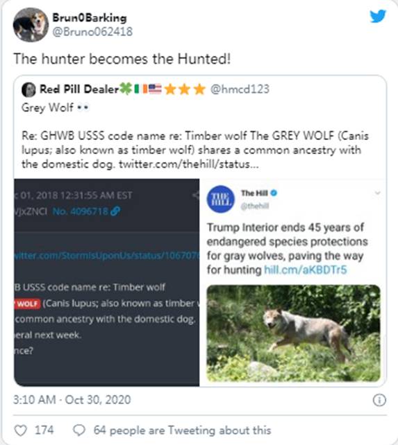 MSM 投降|Sierra(NZ)