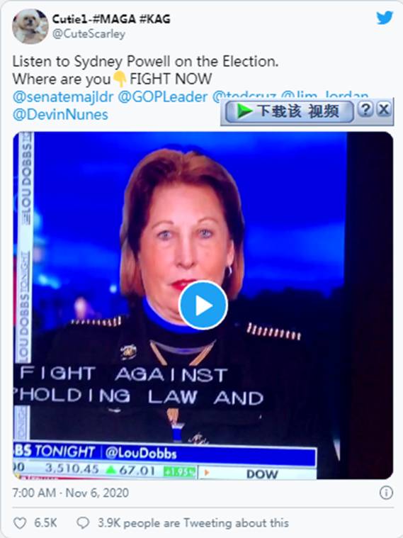 选民欺诈热线“不堪重负”|Sierra(NZ)