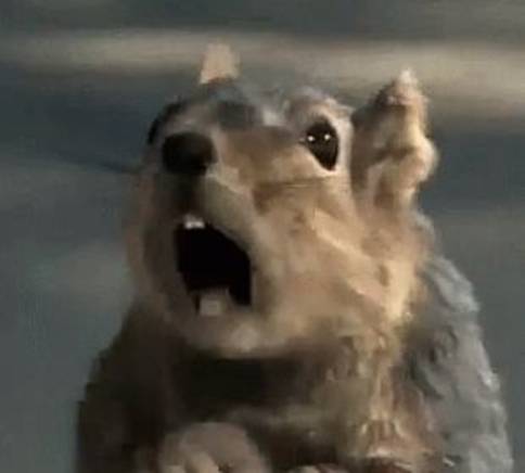 特朗普推特风暴,我们会赢,和平是终极奖|圣诞老人冲浪(海滩广播)