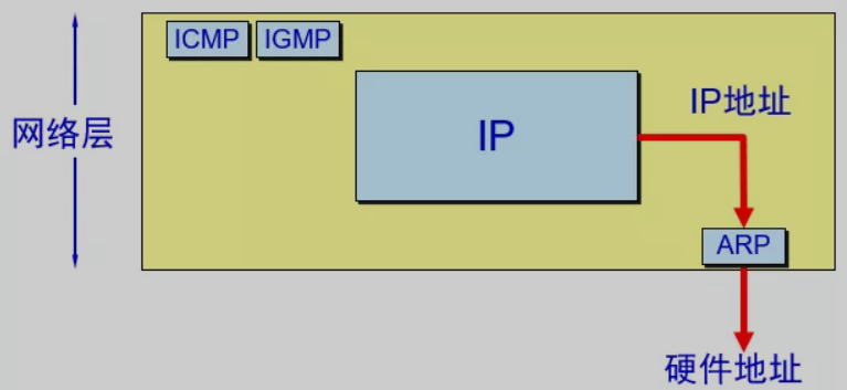地址解析协议ARP