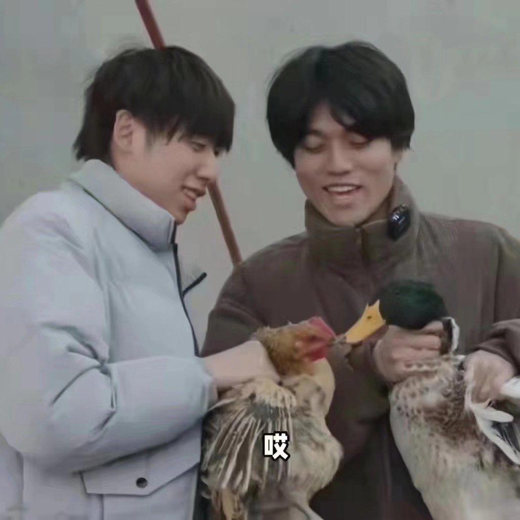 hexo连接网易云歌单