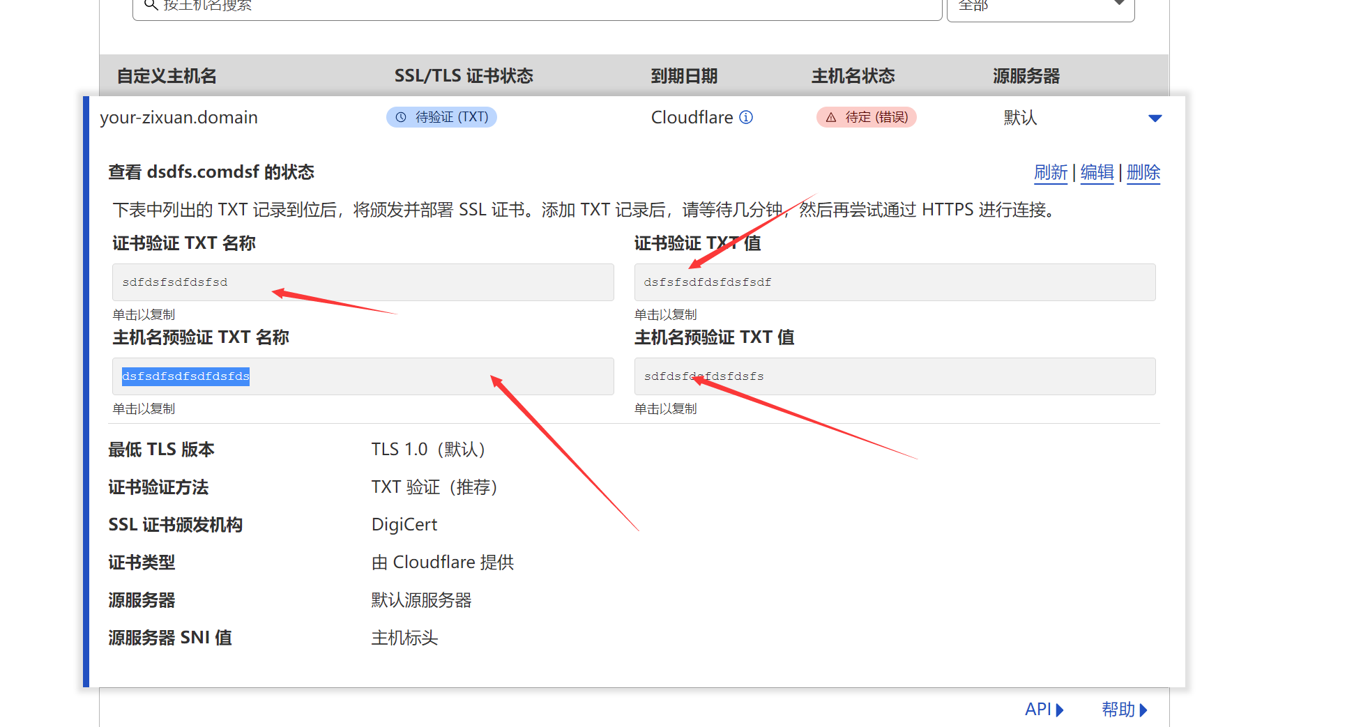 图片[12]-Cloudflare For SaaS 实现自选IP - 星际博客-星际博客