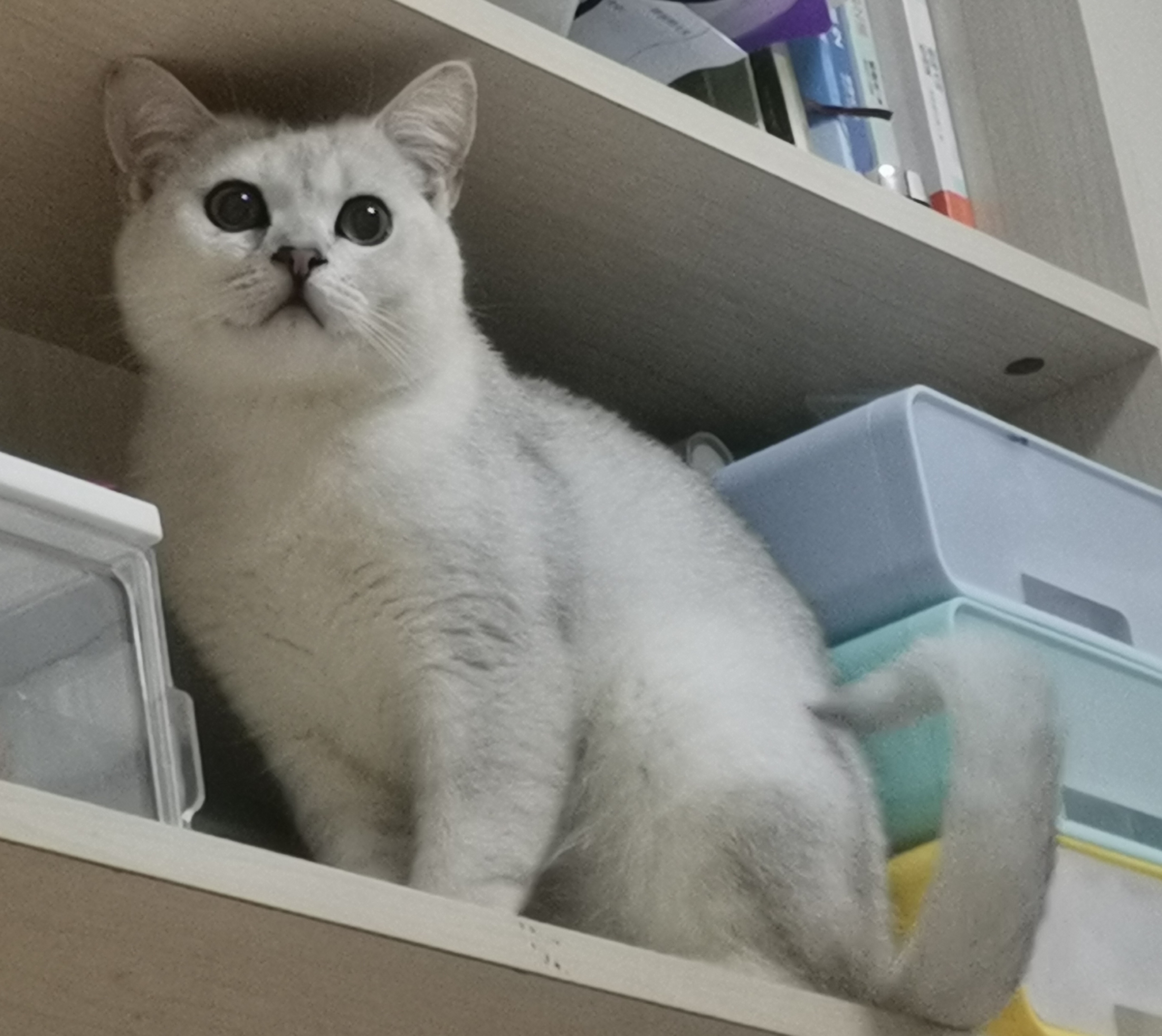 qdfQ8P.jpg