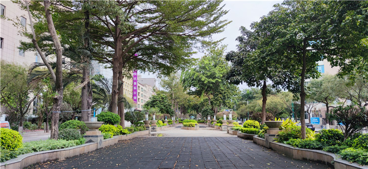厚街镇街道美景