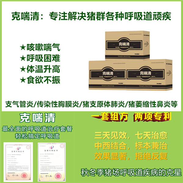 克喘清